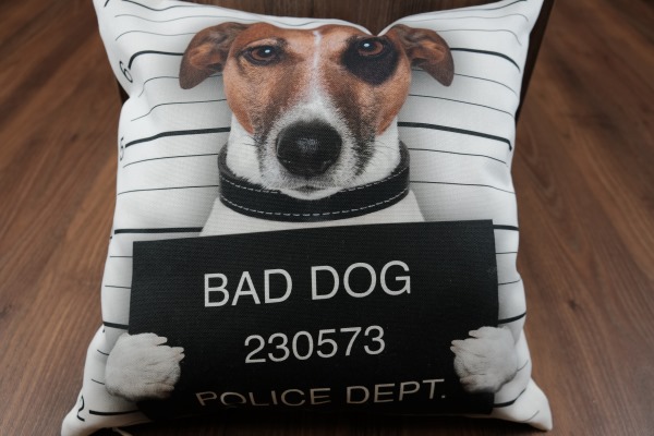 Potah na polštář – bad dog